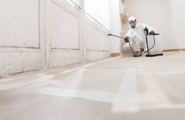 24/7 Emergency Mold Removal experts in Long Branch, VA