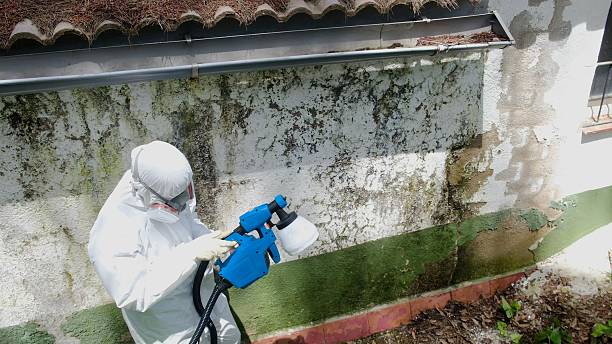 Top rated local Mold Removal specialists in Long Branch, VA
